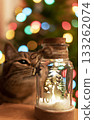 Merry Christmas concept festive decor deer on background of lights garlands Christmas tree and sniffing tabby cat , cute pets, ecoration New Year holiday present 133262074