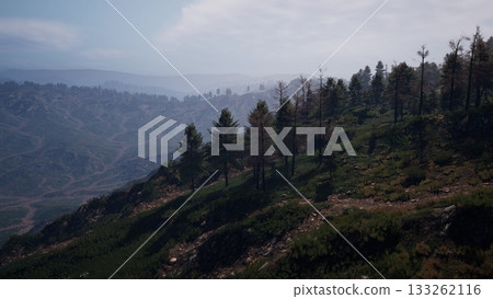 Majestic hills stretch across the horizon, cloaked in lush greenery. Tall trees reach skyward, and a tranquil sky filters soft sunlight over the peaceful scene. Majestic hills stretch across the horizon, cloaked in lush greenery. Tall trees reach skyward, and a tranquil sky filters soft sunlight over the peaceful scene. 133262116