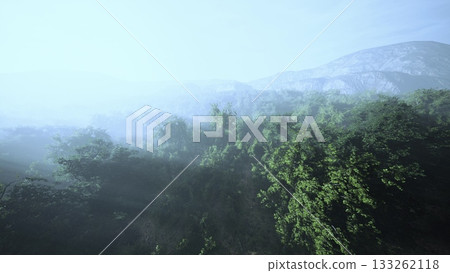 As dawn breaks, soft rays of light filter through the dense mist, illuminating a verdant landscape. Trees, rich in foliage, create a tranquil atmosphere, inviting exploration and wonder. As dawn breaks, soft rays of light filter through the dense mist, illuminating a verdant landscape. Trees, rich in foliage, create a tranquil atmosphere, inviting exploration and wonder. 133262118