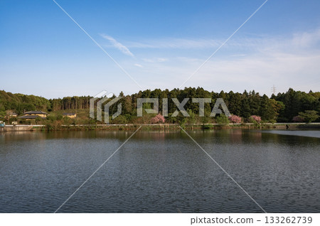 茨城縣靜留池（中市） 133262739