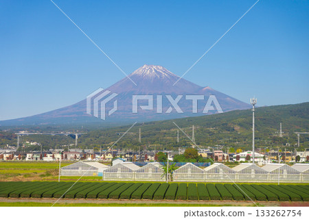 富士山和茶園 133262754