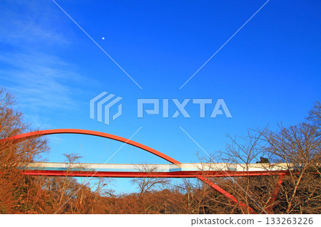 愛知縣豐田市倉池公園彩虹橋 133263226