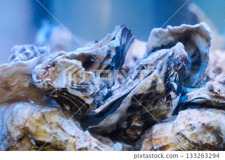Brightly lit seafood stall amid lively city night atmosphere Brightly lit seafood stall amid lively city night atmosphere 133263294