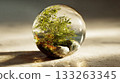 Tree reflected in a transparent glass ball 133263345