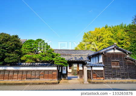 拉夫卡迪奧·赫恩紀念博物館景觀 133263876