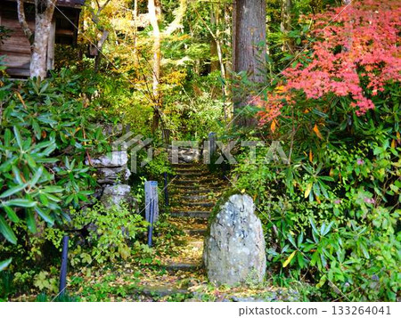 Kochi Prefecture Autumn leaves Kochi Prefecture Autumn leaves 133264041