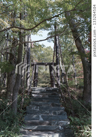 從下方進入志國村葛橋 從下方進入志國村葛橋 133264584