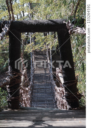 四國村葛橋前面 四國村葛橋前面 133264591