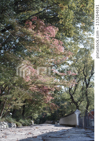 Shikokumura Nagarezaka Shikokumura Nagarezaka 133264691