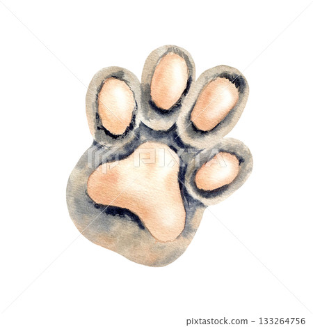 Cat's paw. Cute grey paw with beige pads of pet. Watercolor Sphynx cat footprint. Kitty meow style. Hand drawn Isolated illustration of domestic animal. For patterns, logo design, sticker, stationery Cat's paw. Cute grey paw with beige pads of pet. Watercolor Sphynx cat footprint. Kitty meow style. Hand drawn Isolated illustration of domestic animal. For patterns, logo design, sticker, stationery 133264756