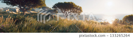 Panoramic landscape of sunny, grassy hillside overlooking the ocean. Golden light and mist highlight the lush grass and trees on the cliffside, creating serene, mediterranean or safari-like atmosphere 133265264