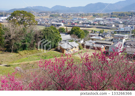 View from Hirota Plum Grove Park, Minamiawaji City, Hyogo Prefecture 133266366