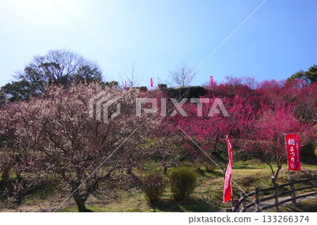 Hirota Umebayashi Fureai Park, Minamiawaji City, Hyogo Prefecture 133266374