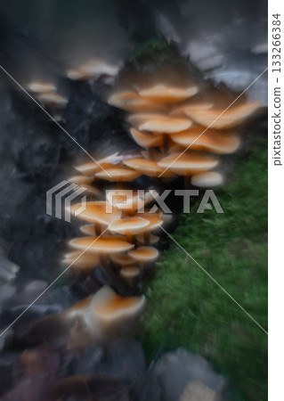 Autumn forest mushrooms with soft focus and watercolor bokeh 133266384