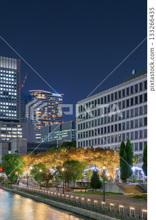 Night view of Osaka City Hall and Nakanoshima 133266435