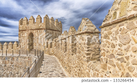 Walls of Avila, Spain 133266454
