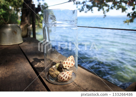 Several Coenobita rugosus or land hermit crab inside a glass jar resting on a wooden surface near the ocean showing a tropical island life vibes. Koh Sdach, Cambodia 133266486