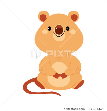 Cute Quokka Animal with Pretty Snout and Tail Vector Illustration Cute Quokka Animal with Pretty Snout and Tail Vector Illustration 133266625