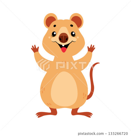Cute Quokka Animal with Pretty Snout and Tail Vector Illustration 133266720