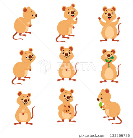 Cute Quokka Animal with Pretty Snout and Tail Vector Set Cute Quokka Animal with Pretty Snout and Tail Vector Set 133266726