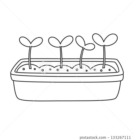box with seedlings in outline 133267111