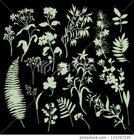 Elegant Vintage Botanical Silhouette Vector Set of Wild Herb Leaves and Flowers Pattern Pack 133267295