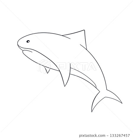 Shark in line art style isolated on a white background. Shark in line art style isolated on a white background. 133267457