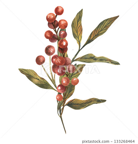Hand drawn botanical berries branch. watercolor leaves and red berries. Vintage watercolor style with soft earthy green and red palette. Wallpaper, textile, packaging, branding card, design, arts Hand drawn botanical berries branch. watercolor leaves and red berries. Vintage watercolor style with soft earthy green and red palette. Wallpaper, textile, packaging, branding card, design, arts 133268464