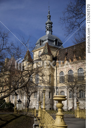 Budapest, Hungary, April 3, 2019: Vajdahunyad Castle in City Park Budapest, Hungary, April 3, 2019: Vajdahunyad Castle in City Park 133268570