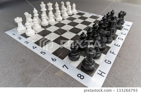 Chess, game, party Chess, game, party 133268793