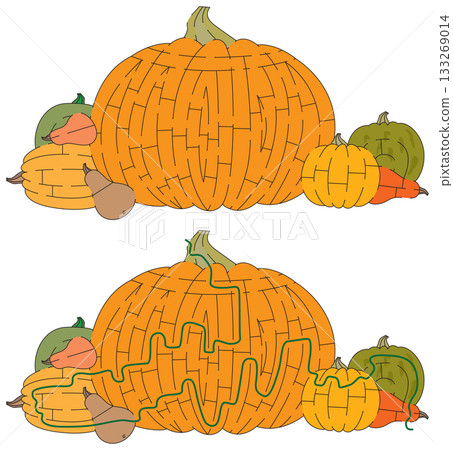 Pumpkins maze 133269014
