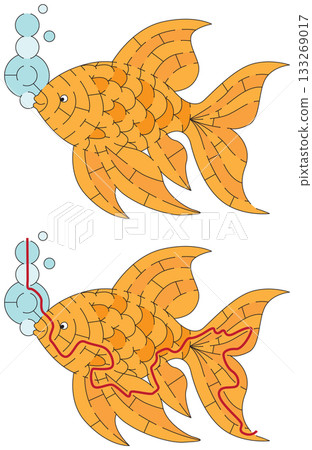 Goldfish Maze Goldfish Maze 133269017