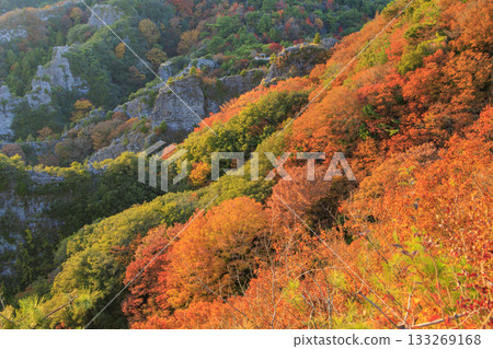 Shodoshima Kankakei autumn leaves 133269168