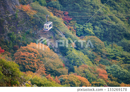 Shodoshima Kankakei autumn leaves 133269178