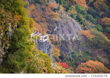 Shodoshima Kankakei autumn leaves 133269179