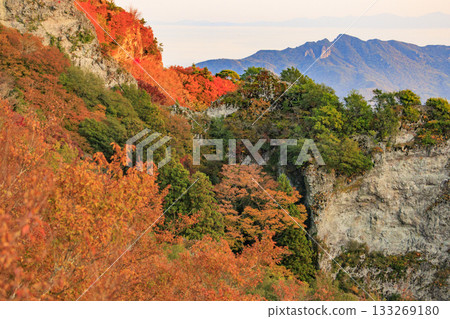 Shodoshima Kankakei autumn leaves Shodoshima Kankakei autumn leaves 133269180