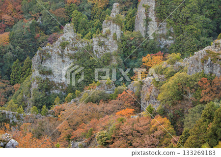 Shodoshima Kankakei autumn leaves 133269183