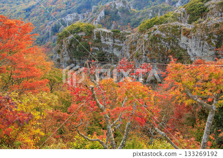 Shodoshima Kankakei autumn leaves 133269192