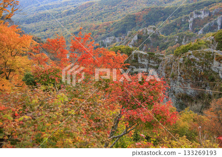 Shodoshima Kankakei autumn leaves Shodoshima Kankakei autumn leaves 133269193