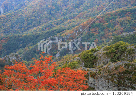 小豆島Kankakei秋葉 133269194