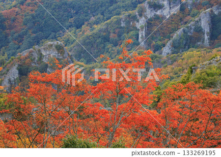 Shodoshima Kankakei autumn leaves 133269195