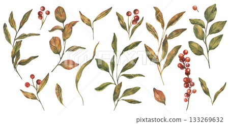 Hand drawn botanical berries and leaves. watercolor clipart set with branches and red berries. Vintage watercolor style earthy green and red palette. 133269632