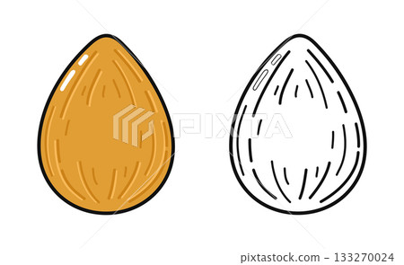 Almond nut food simple vector illustration and outline 133270024