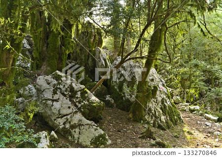 Scenery along the hiking trail trough the Llogara national park 133270846
