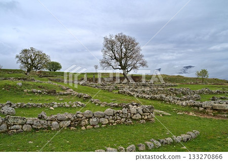Ruins at the Hellenic Archaeological Park of Antigonea Ruins at the Hellenic Archaeological Park of Antigonea 133270866