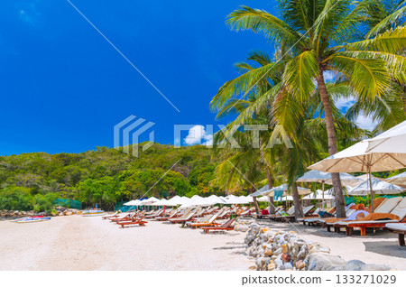 tropical resort with sun beds and umbrellas under palm trees on beach by sea. Landscape panorama with view of exotic ocean shore in summer. Beach on tropical island. Tourist destination for holidays 133271029