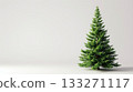 A large green pine tree stands alone in a white background. Copy place. 133271117