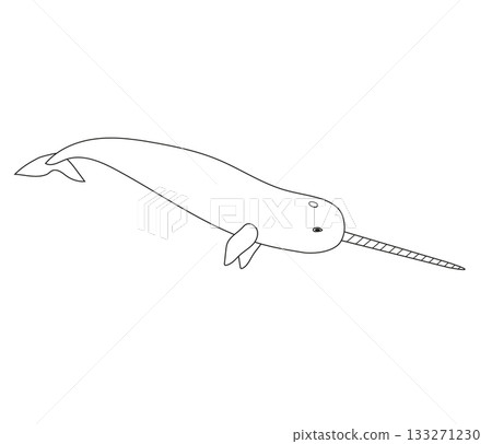 Vector flat hand drawn outline narwhal Vector flat hand drawn outline narwhal 133271230