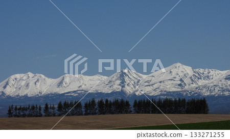 美瑛的防風林和十勝山脈 美瑛的防風林和十勝山脈 133271255