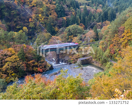 [Akita Shinkansen] Limited Express Komachi passing through a valley with autumn leaves 133271752